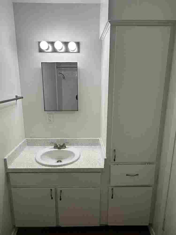 Roommate needed