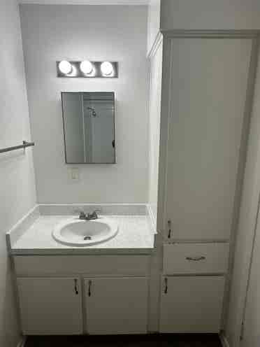 Roommate needed