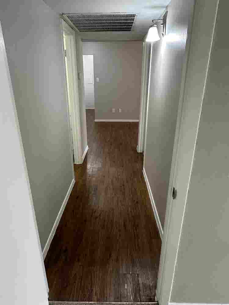 Roommate needed