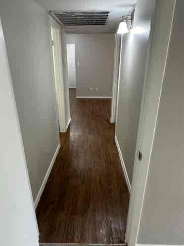 Roommate needed