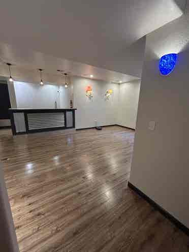 One Bedroom Basement with Garage