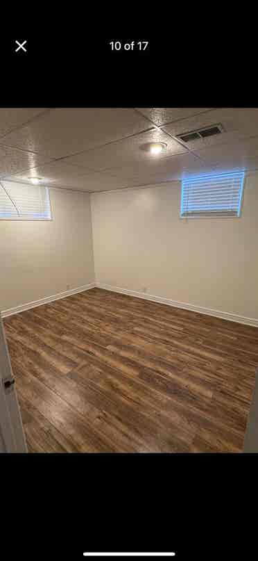 Female roommate  needed