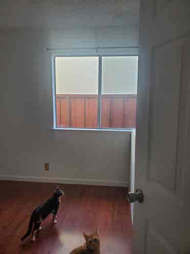 Room for Rent - 0 deposit,-