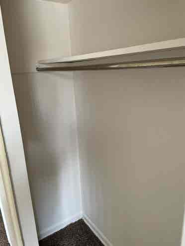 Need a Male Roommate