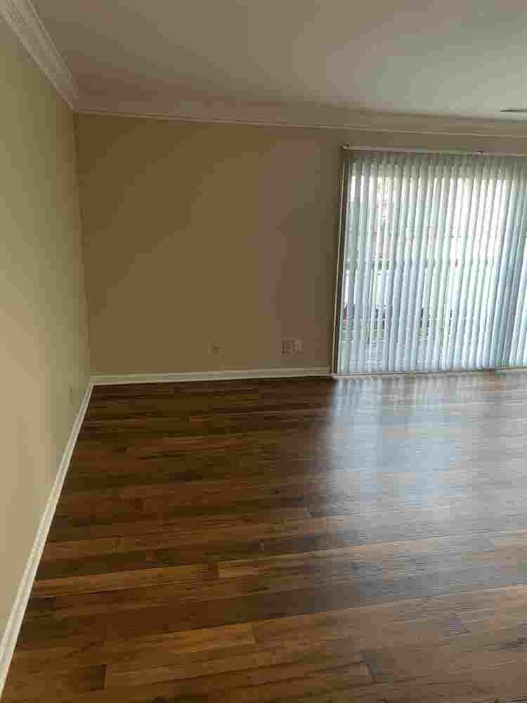 Need a Male Roommate