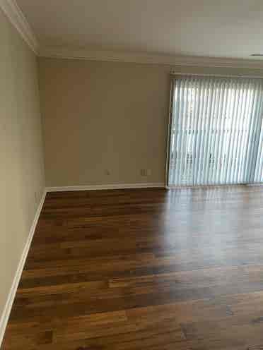 Need a Male Roommate