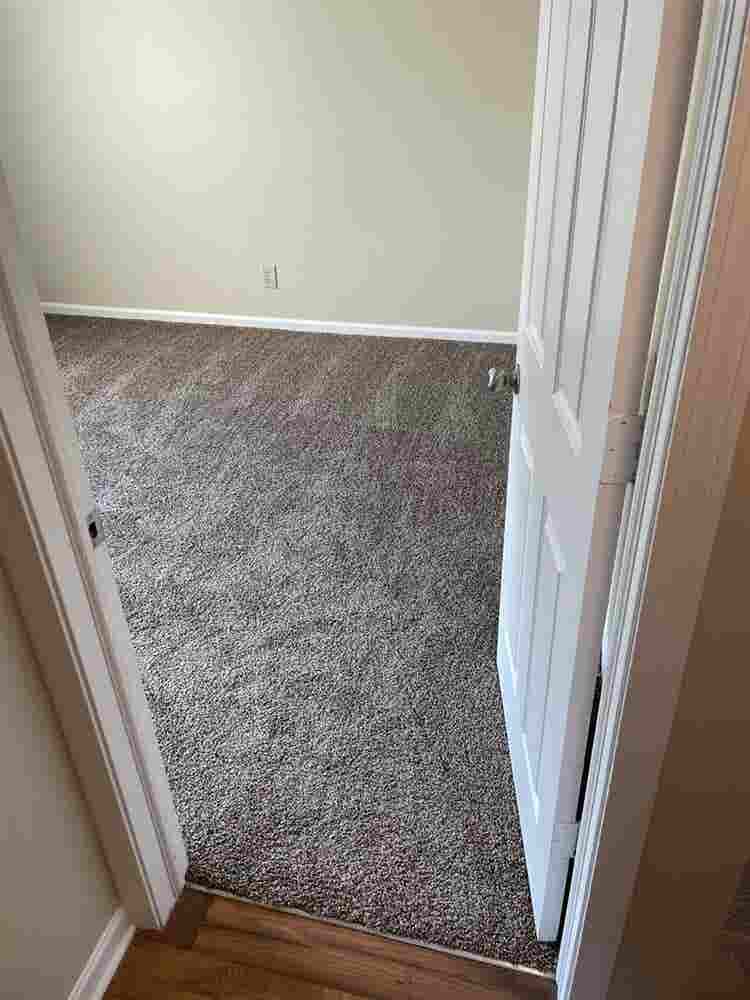 Need a Male Roommate