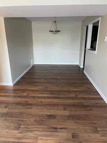 Need a Male Roommate