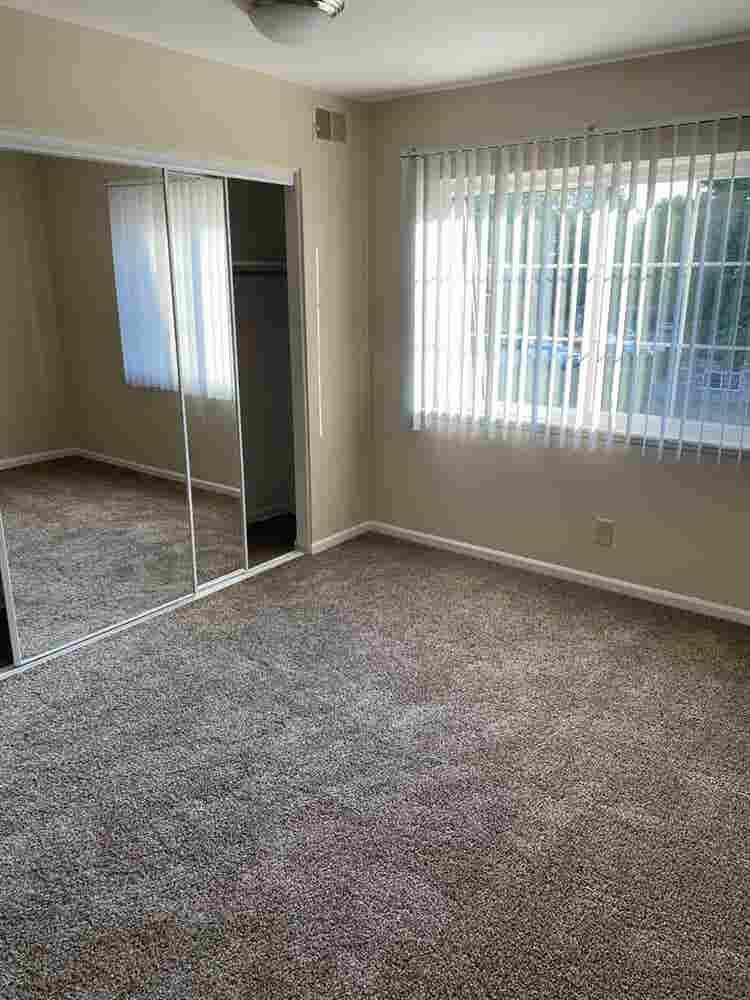Need a Male Roommate