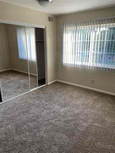 Need a Male Roommate