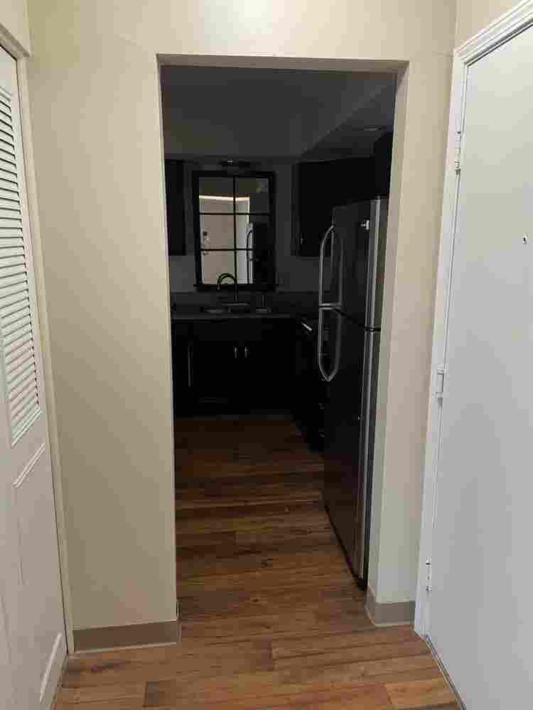 Need a Male Roommate