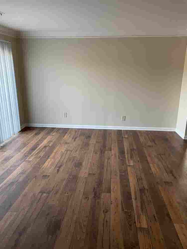 Need a Male Roommate