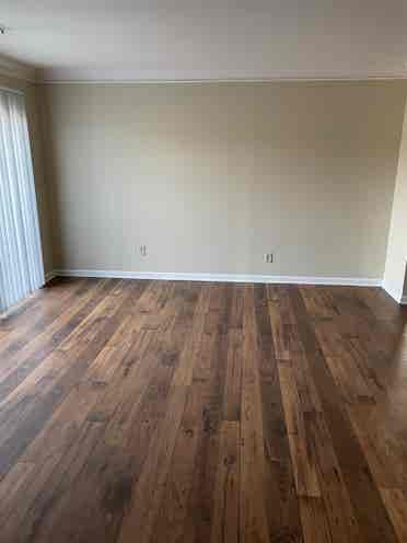 Need a Male Roommate