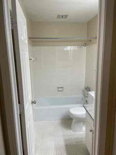 Need a Male Roommate