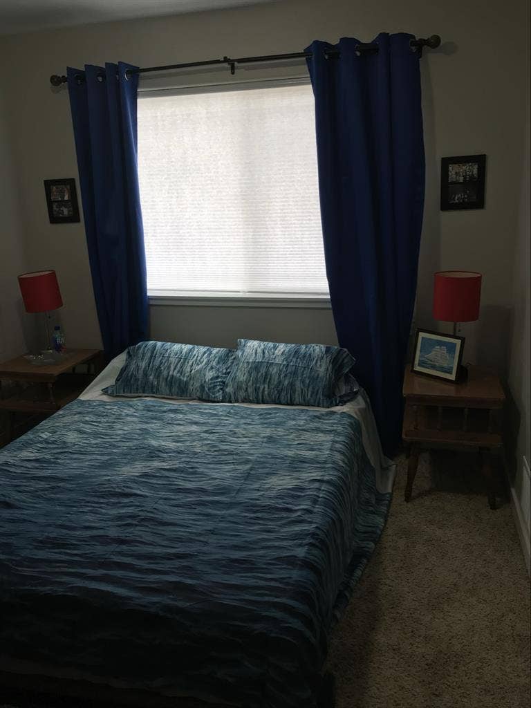 Professional Female roommate wanted