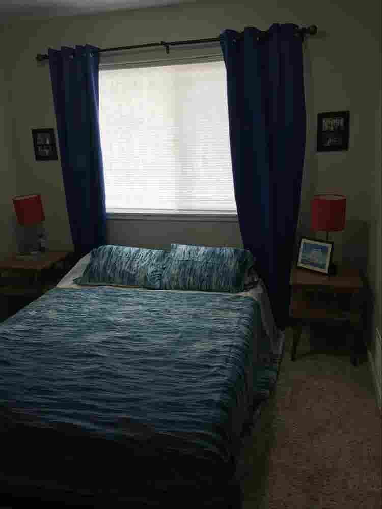 Professional Female roommate wanted