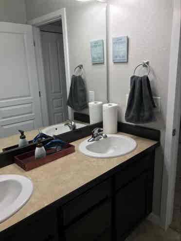 Professional Female roommate wanted