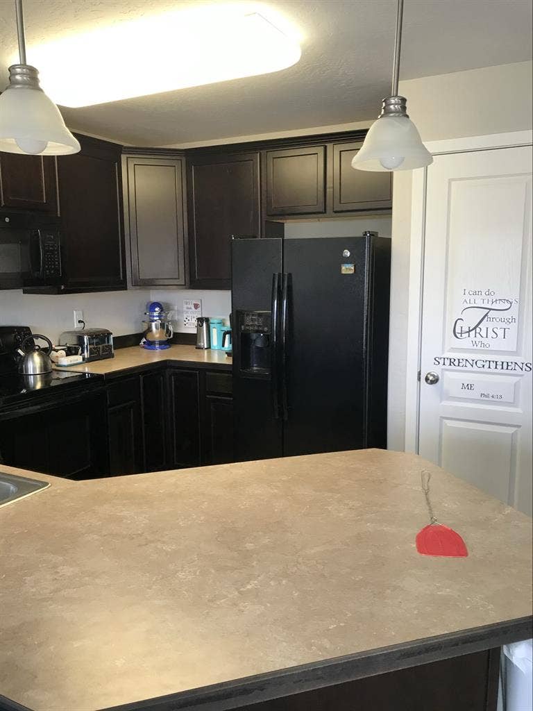 Professional Female roommate wanted