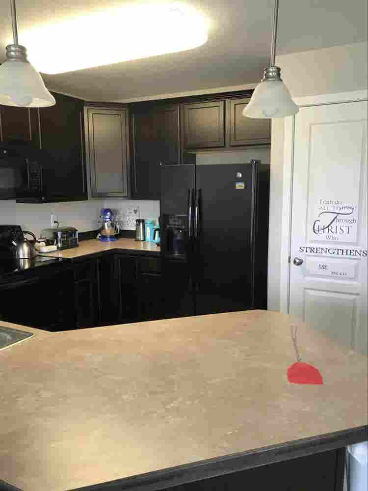 Professional Female roommate wanted