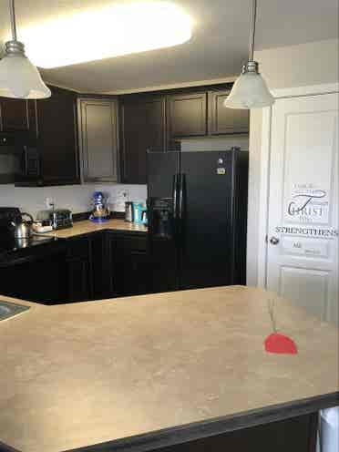 Professional Female roommate wanted