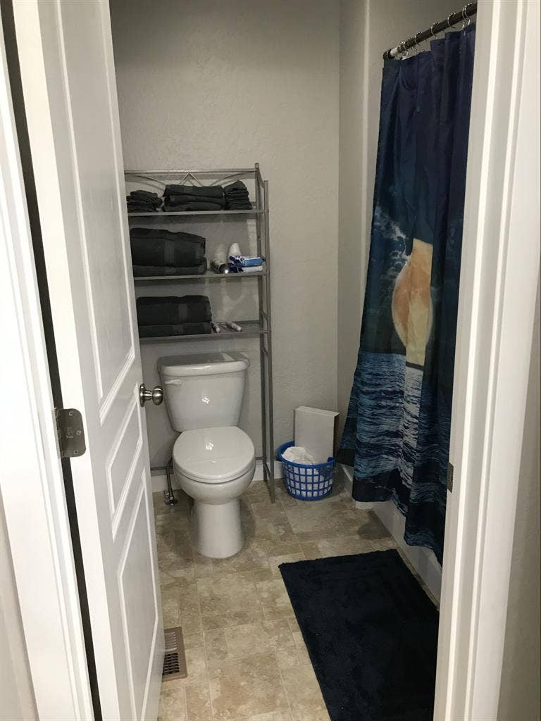 Professional Female roommate wanted