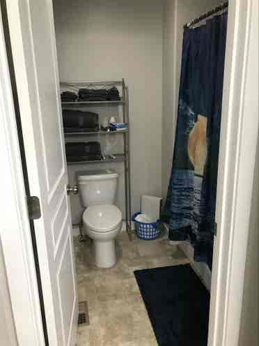 Professional Female roommate wanted