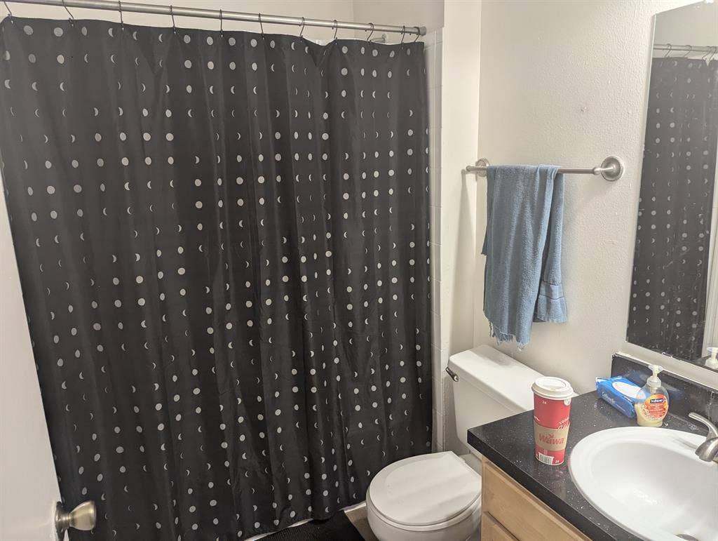 Seeking roommate ASAP