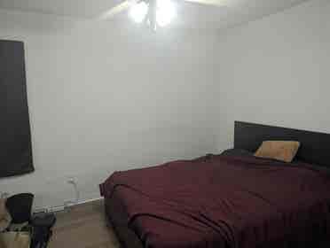 Seeking roommate ASAP