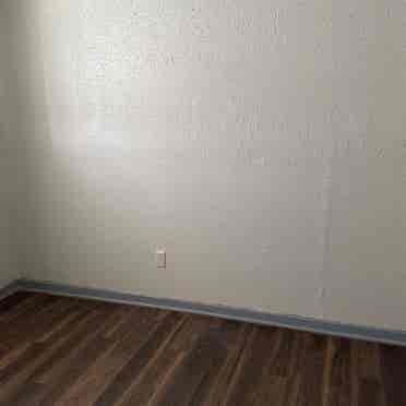 Clean and neat apartment