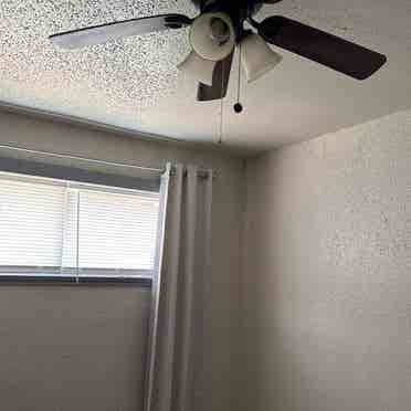 Clean and neat apartment
