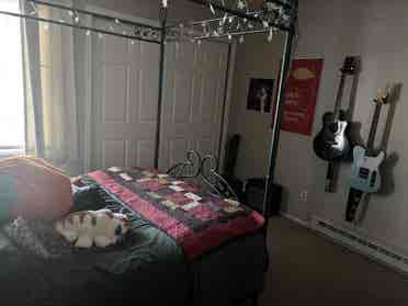 PRIVATE ROOM FOR RENT!