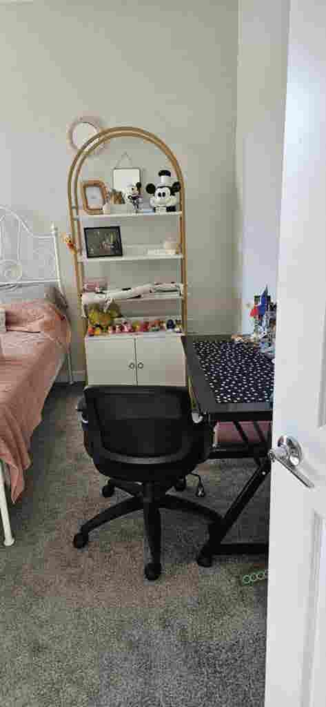 New Roomie Search