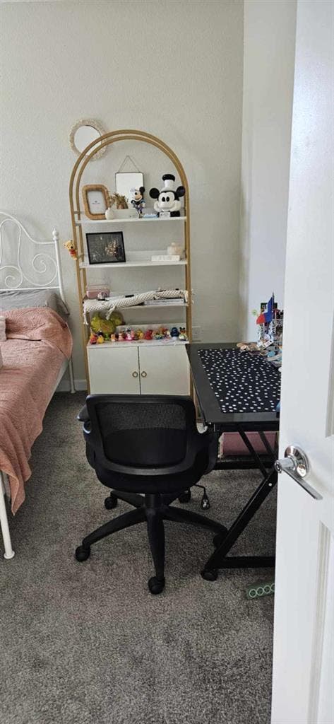New Roomie Search