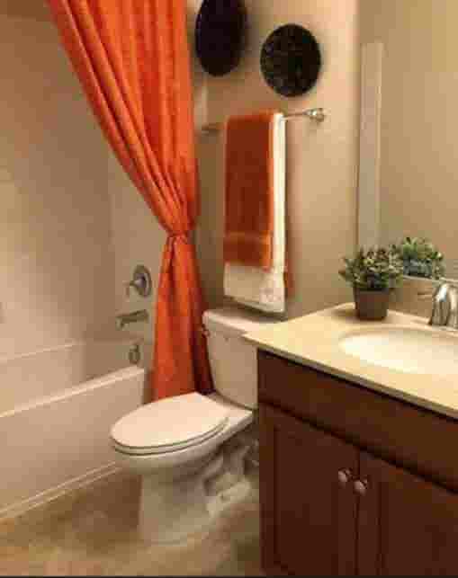 New Roomie Search