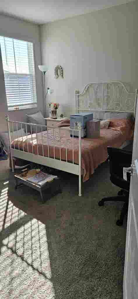 New Roomie Search