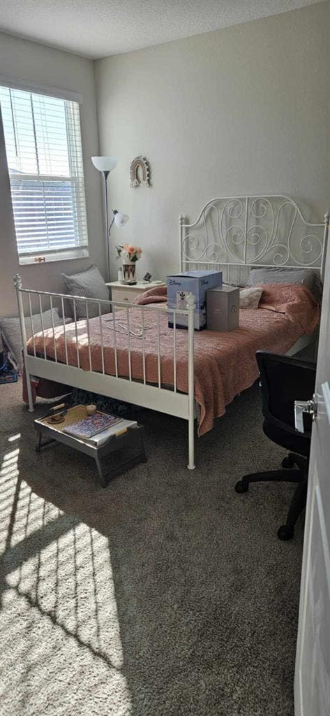 New Roomie Search