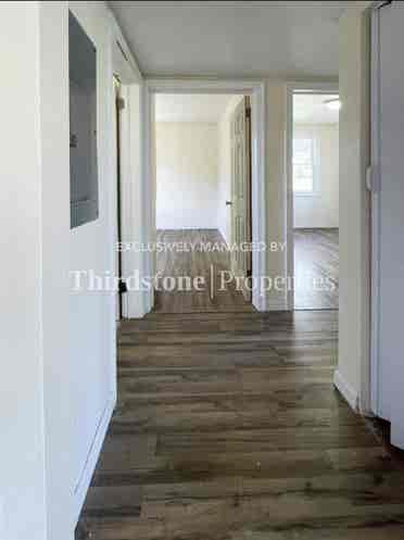 Room available august