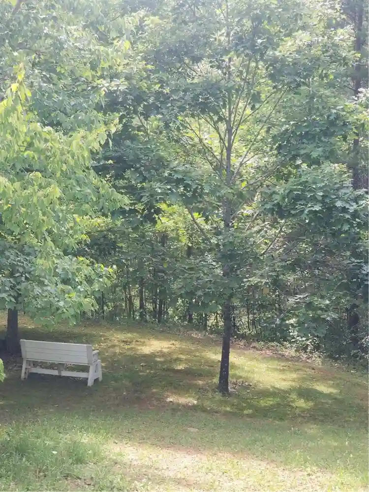 Quiet Home in the mountains.