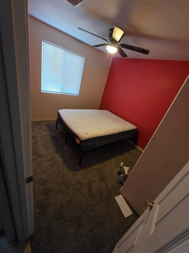 Room for rent!