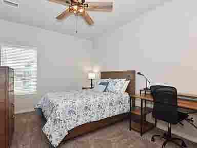 Move In Ready Room To Rent