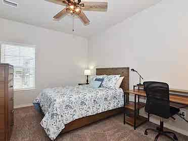 Move In Ready Room To Rent