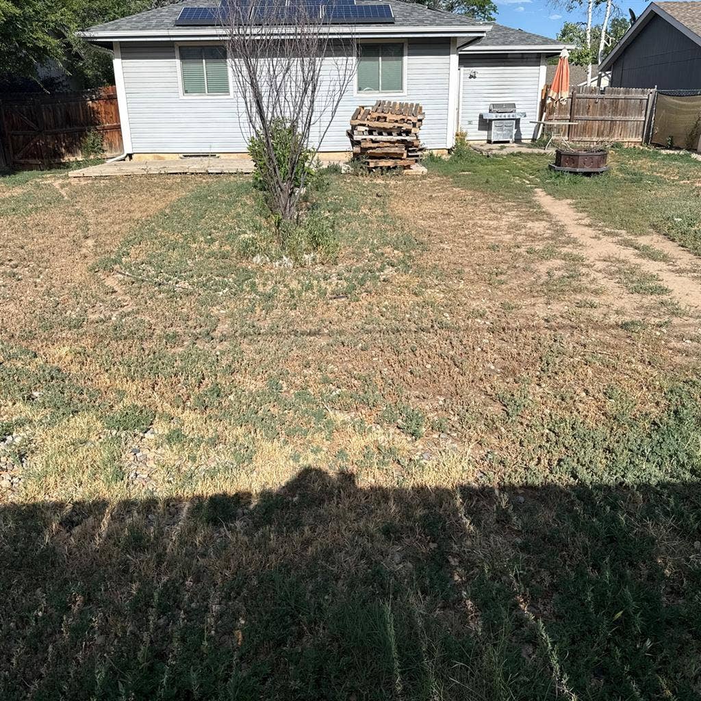 Need of Roommate asap