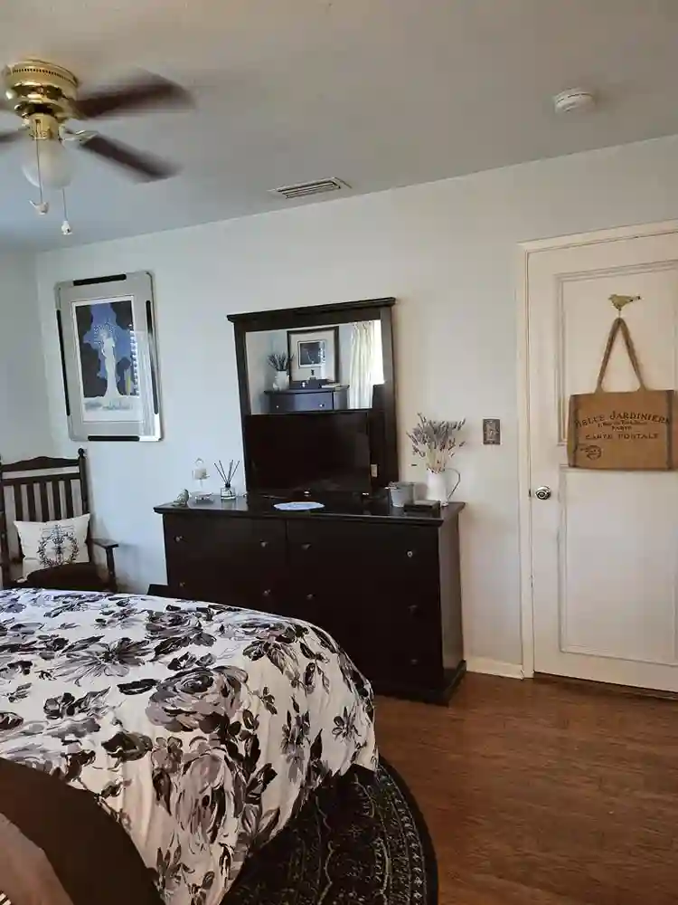 Beautiful furnished room available