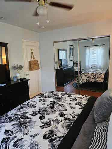 Beautiful furnished room available