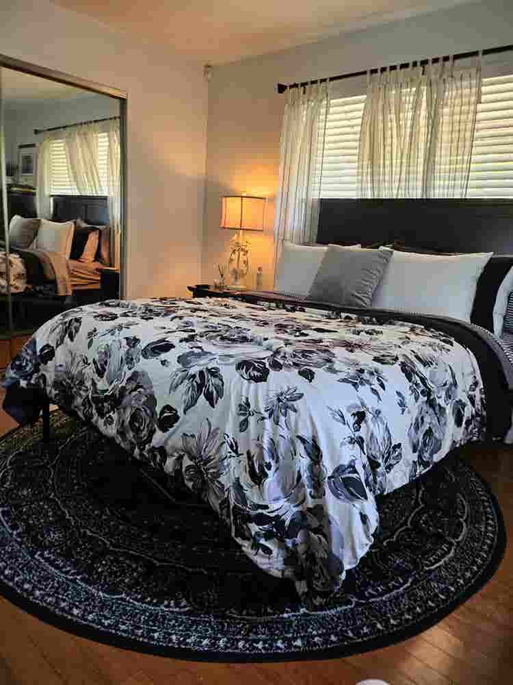 Beautiful furnished room available