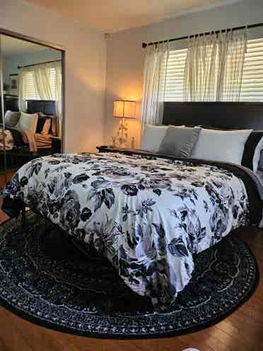 Beautiful furnished room available