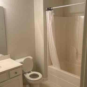 Looking to rent 2 rooms