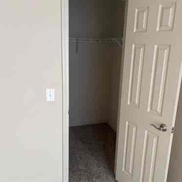 Colonies at Hillside roomate need