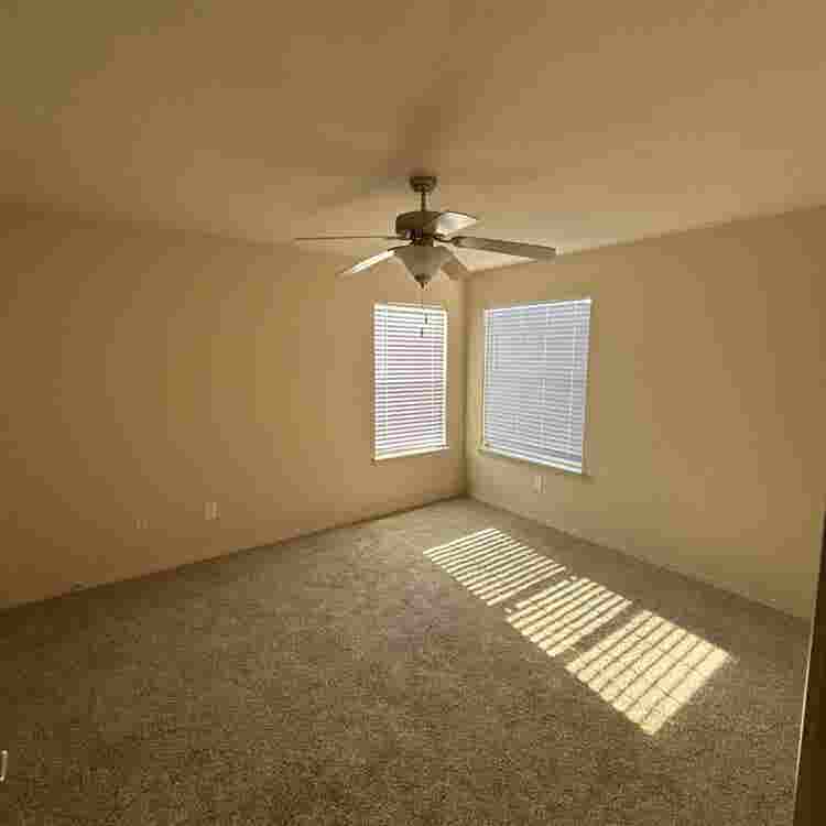 Colonies at Hillside roomate need