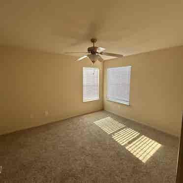 Colonies at Hillside roomate need